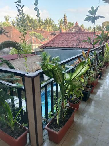 Grace Paradise Guest House Lembongan Esterno foto