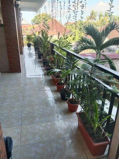 Grace Paradise Guest House Lembongan Esterno foto